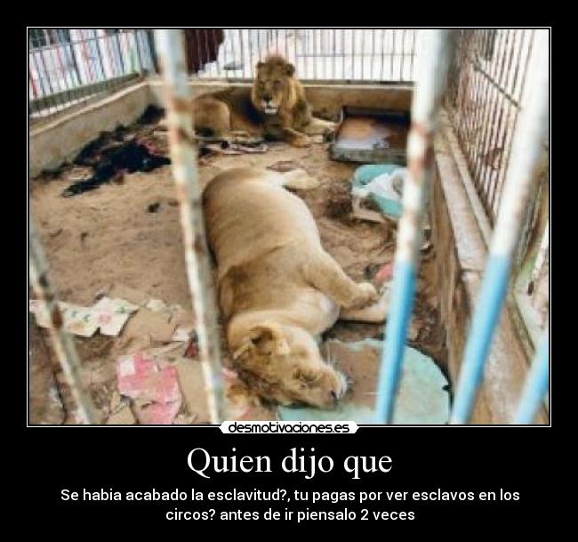 Quien dijo que - Se habia acabado la esclavitud?, tu pagas por ver esclavos en los
circos? antes de ir piensalo 2 veces