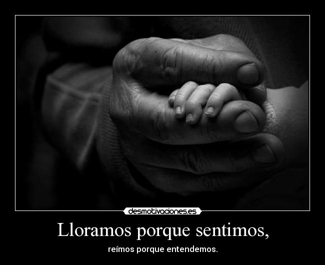 carteles que diga que que calle pues tienen que estar lugar para entenderlo desmotivaciones