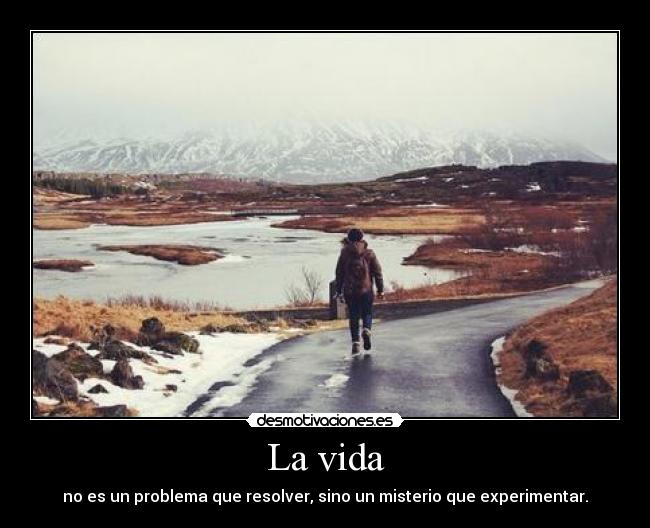La vida - 
