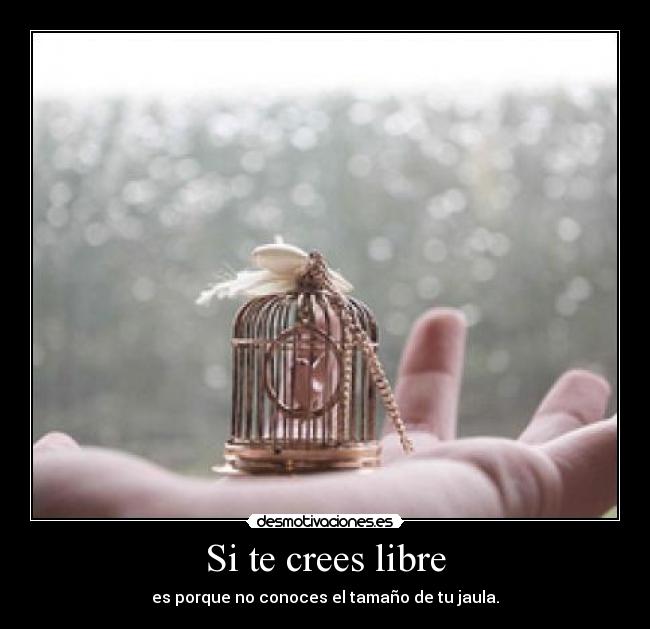 Si te crees libre - 