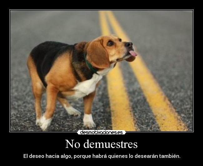 carteles youdeaht clandesplazado imperiodesplazado como por ejemplo cuando interesa alguien ningun tag cat desmotivaciones