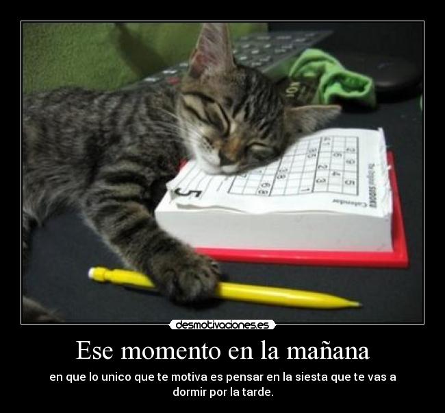 Ese momento en la mañana - en que lo unico que te motiva es pensar en la siesta que te vas a dormir por la tarde.