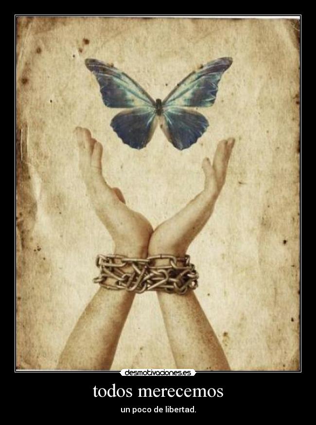 todos merecemos - 