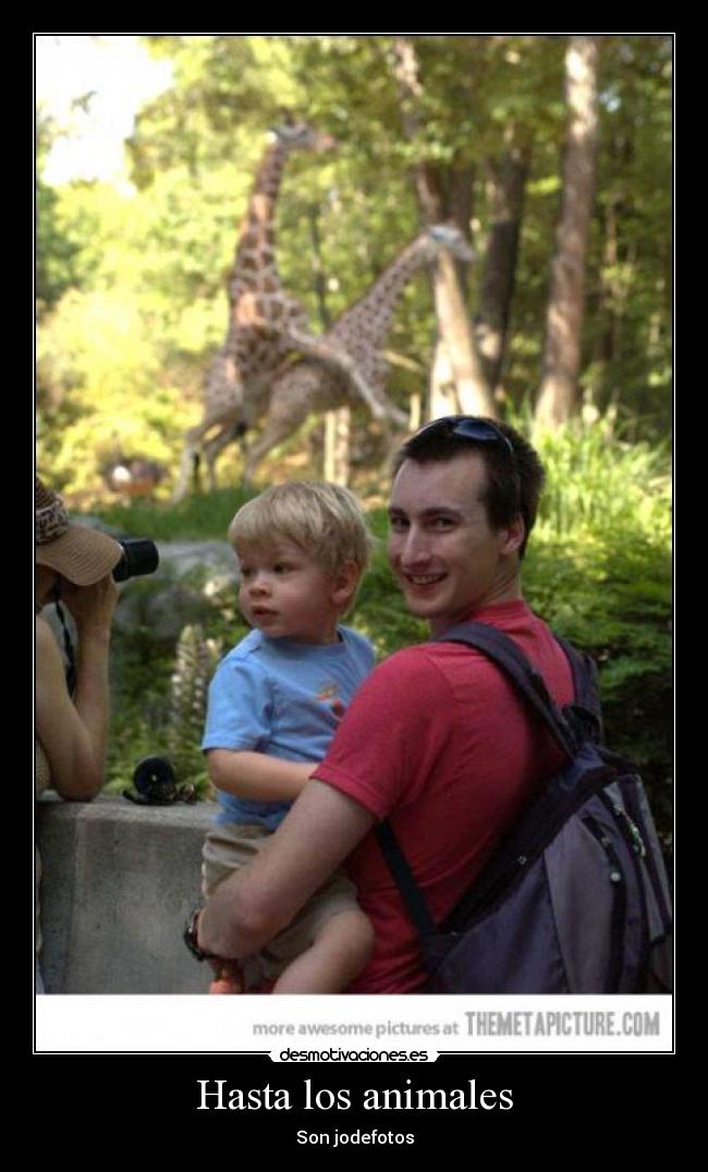 Hasta los animales -