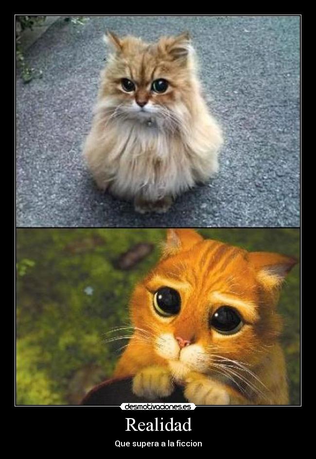Realidad - 
