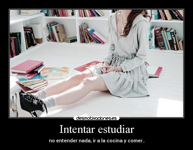 carteles sdufh desmotivaciones