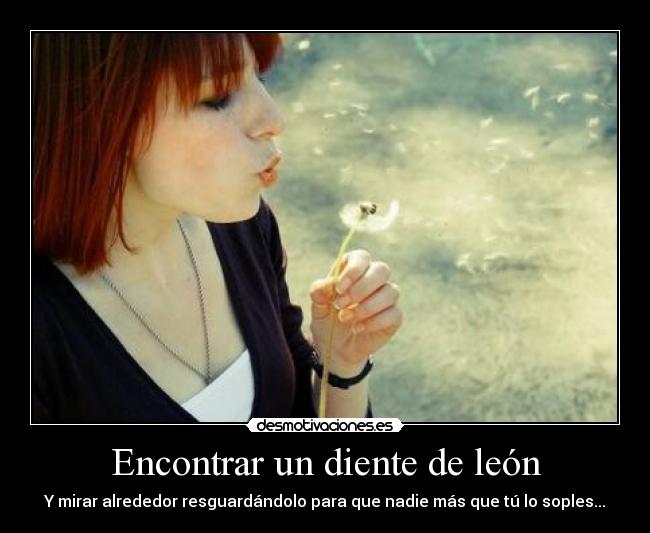 Encontrar un diente de león - 