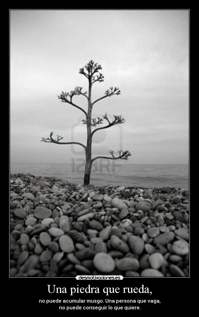 carteles una piedra que rueda puede acumular musgo una persona que vaga puede conseguir que quiere desmotivaciones