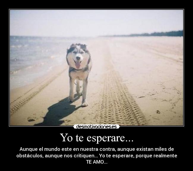 Yo te esperare... -