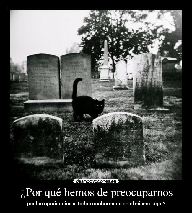 carteles grave omg color vestimentas dinero siempre nos dejamos influenciar por ello desmotivaciones