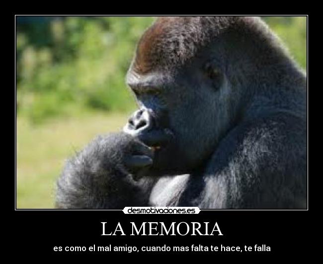 LA MEMORIA - es como el mal amigo, cuando mas falta te hace, te falla