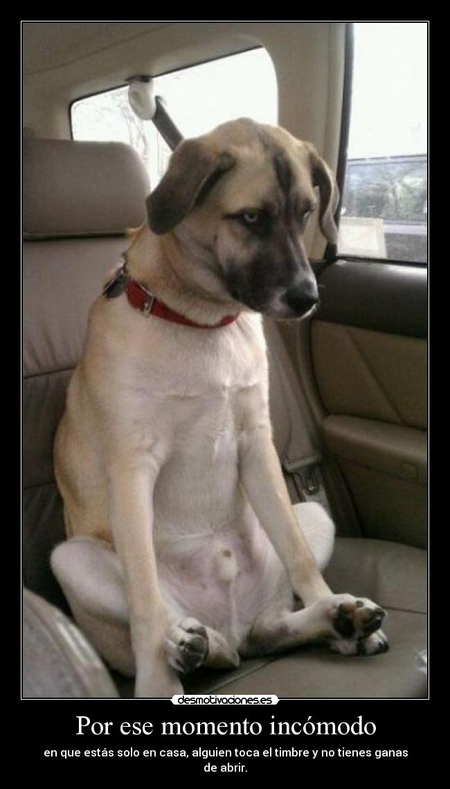 Por ese momento incómodo - en que estás solo en casa, alguien toca el timbre y no tienes ganas de abrir.