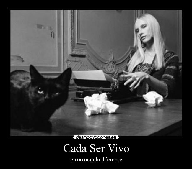 carteles reflexion reflexion pensamientos diferencias mundo desmotivaciones