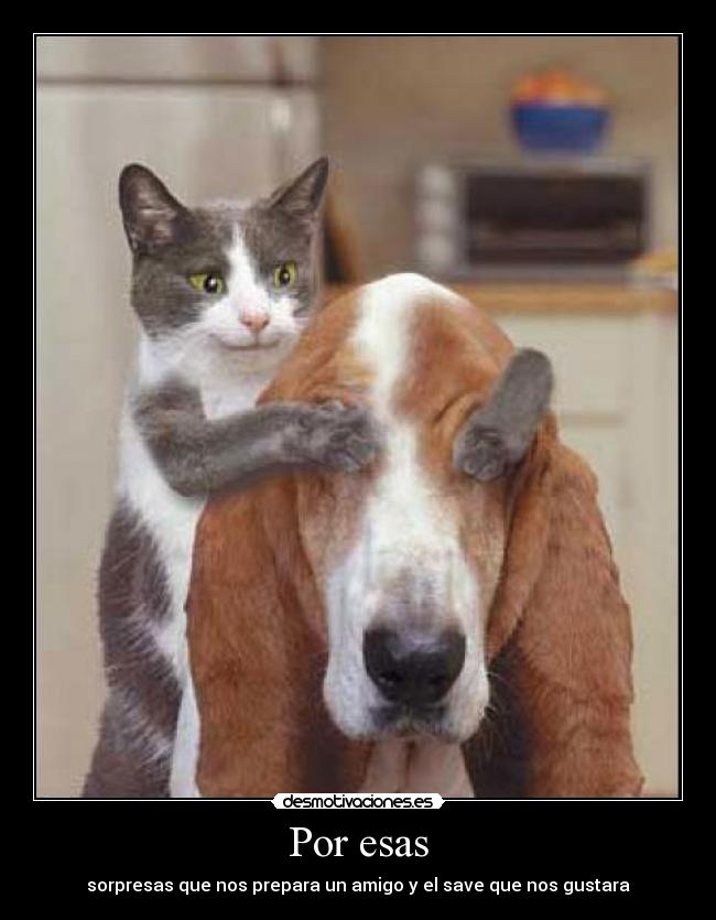 Por esas - sorpresas que nos prepara un amigo y el save que nos gustara