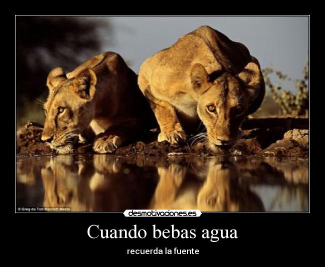 Cuando bebas agua - recuerda la fuente