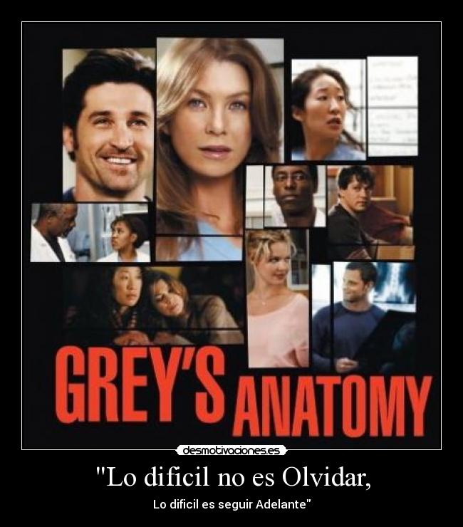 carteles olvidar anatomia greys desmotivaciones