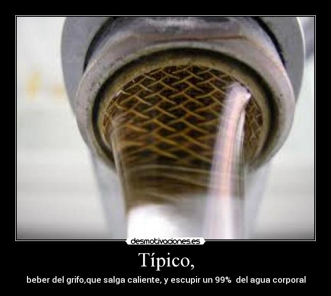 Típico, - beber del grifo,que salga caliente, y escupir un 99%  del agua corporal