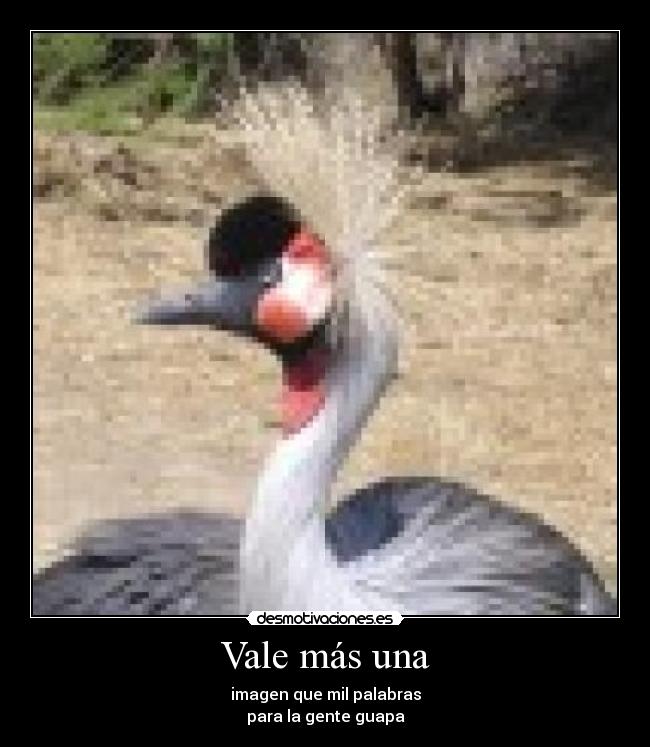 carteles los animals desmotivaciones