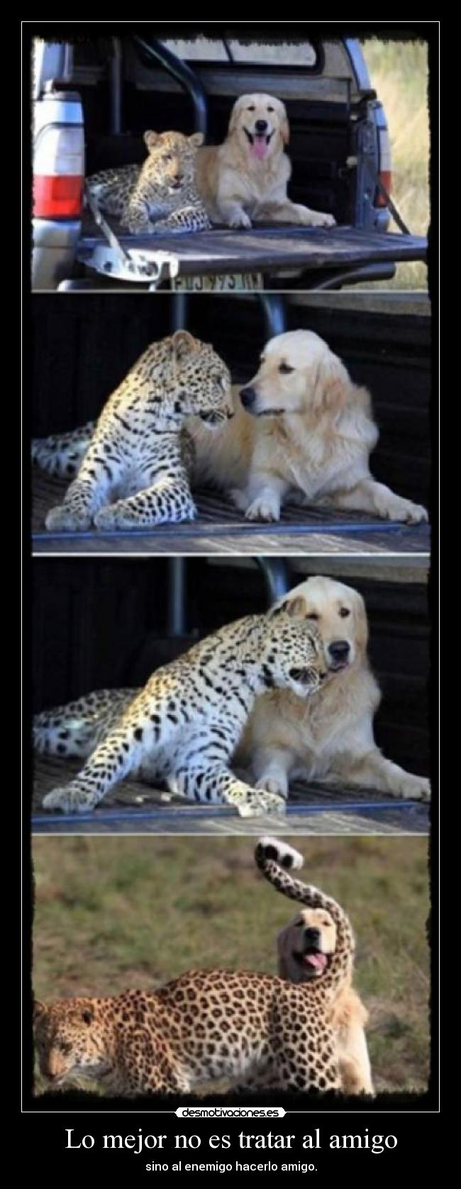 Lo mejor no es tratar al amigo - 