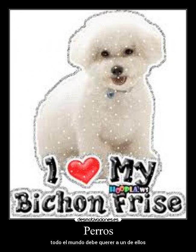 carteles kilo desmotivaciones