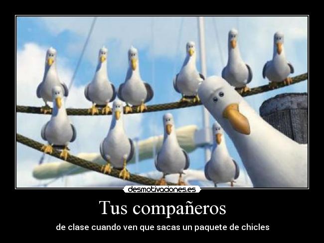 Tus compañeros - de clase cuando ven que sacas un paquete de chicles