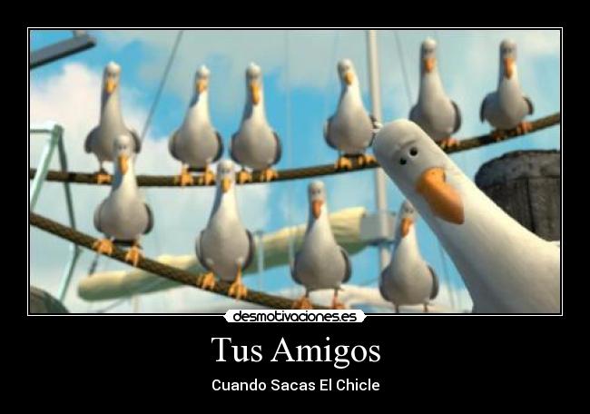 Tus Amigos -