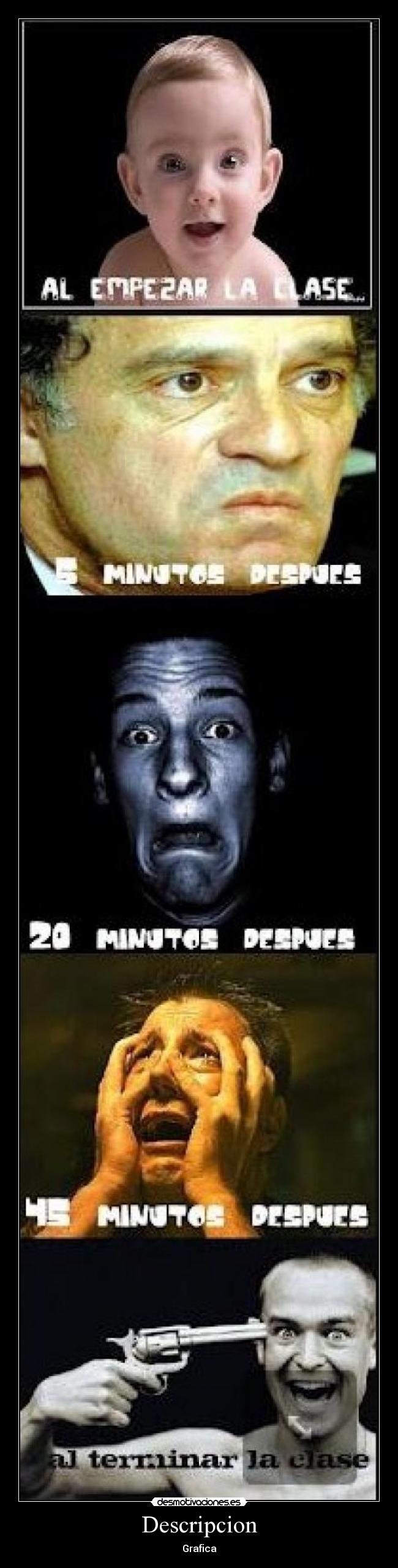 Descripcion - Grafica