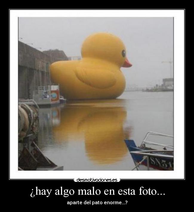 ¿hay algo malo en esta foto... - aparte del pato enorme...?