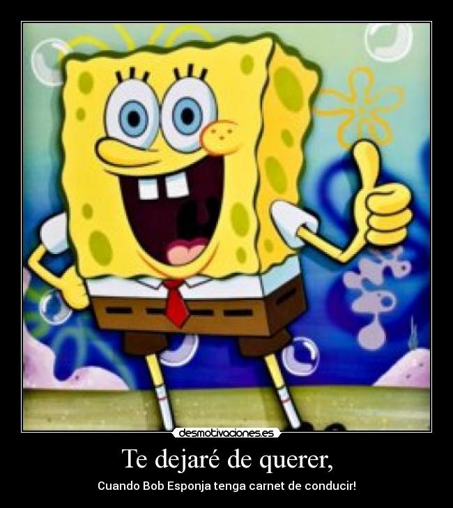 Te dejaré de querer, - Cuando Bob Esponja tenga carnet de conducir!♥