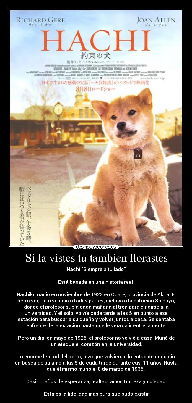 Si la vistes tu tambien llorastes -