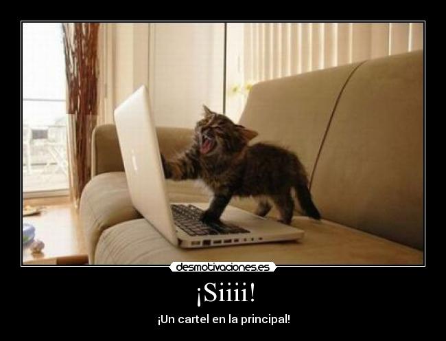 ¡Siiii! - 