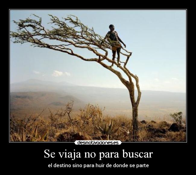 carteles ebvlmars desmotivaciones