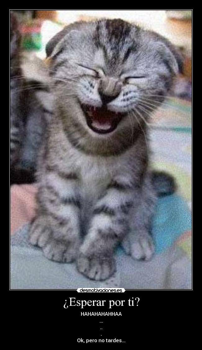 ¿Esperar por ti? - HAHAHAHAHHAA
...
..
.
Ok, pero no tardes...