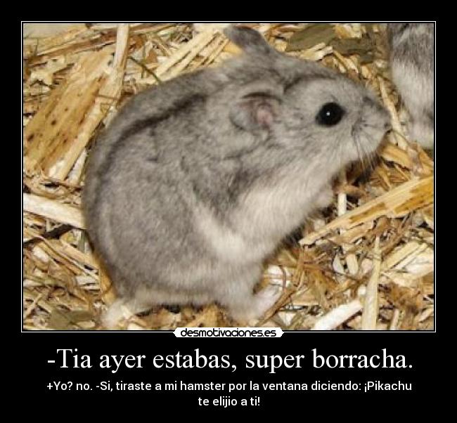 -Tia ayer estabas, super borracha. - +Yo? no. -Si, tiraste a mi hamster por la ventana diciendo: ¡Pikachu te elijio a ti!