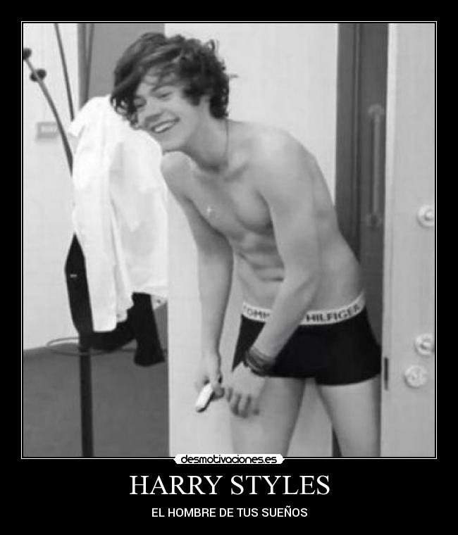 carteles harry desmotivaciones