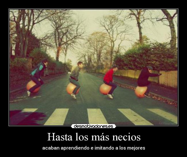 Hasta los más necios - acaban aprendiendo e imitando a los mejores