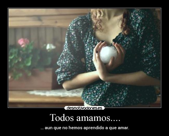Todos amamos.... -