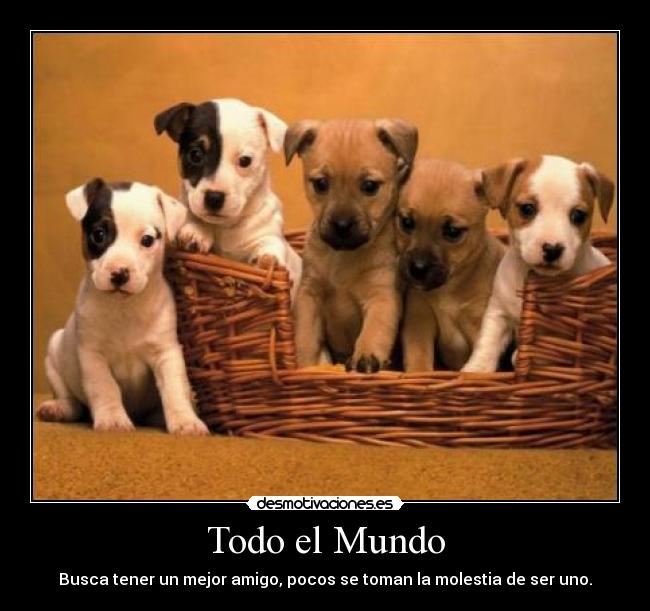 Todo el Mundo - Busca tener un mejor amigo, pocos se toman la molestia de ser uno.