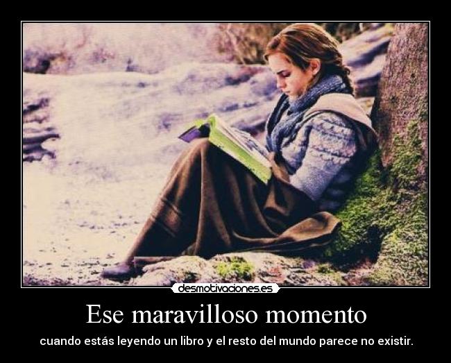 Ese maravilloso momento - cuando estás leyendo un libro y el resto del mundo parece no existir.