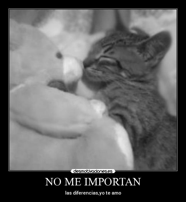 NO ME IMPORTAN - las diferencias,yo te amo♥