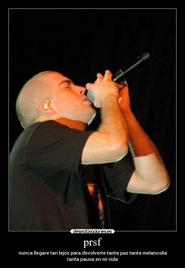 carteles silvia estevez desmotivaciones