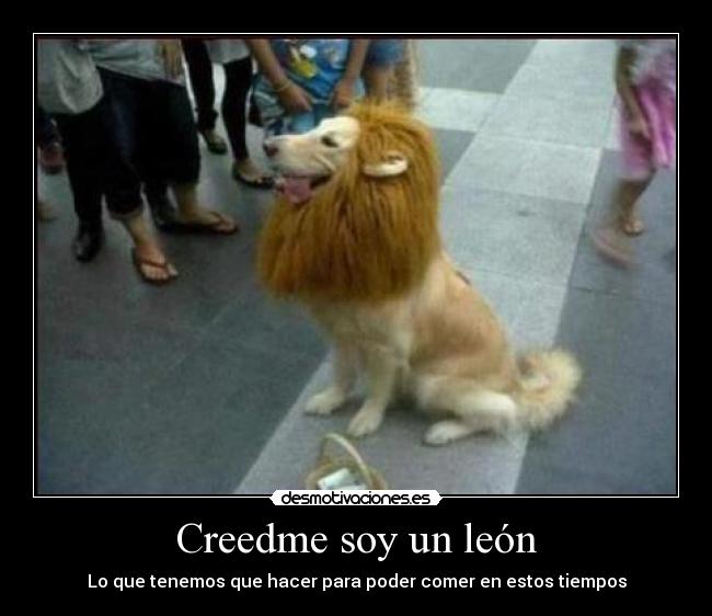 Creedme soy un león - Lo que tenemos que hacer para poder comer en estos tiempos