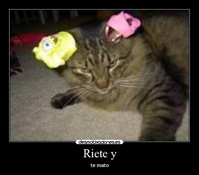 Riete y - te mato