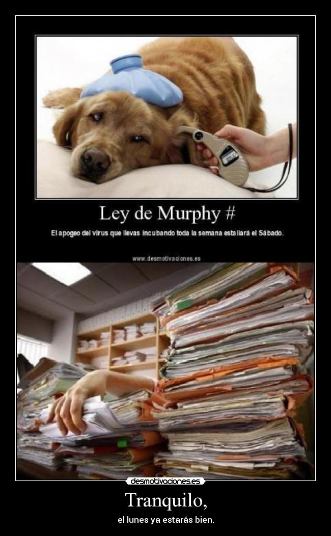 Tranquilo, - el lunes ya estarás bien.