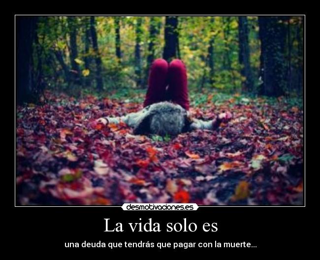 La vida solo es - una deuda que tendrás que pagar con la muerte...