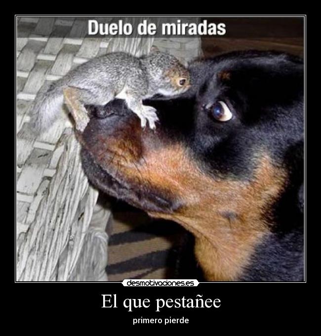 El que pestañee - primero pierde