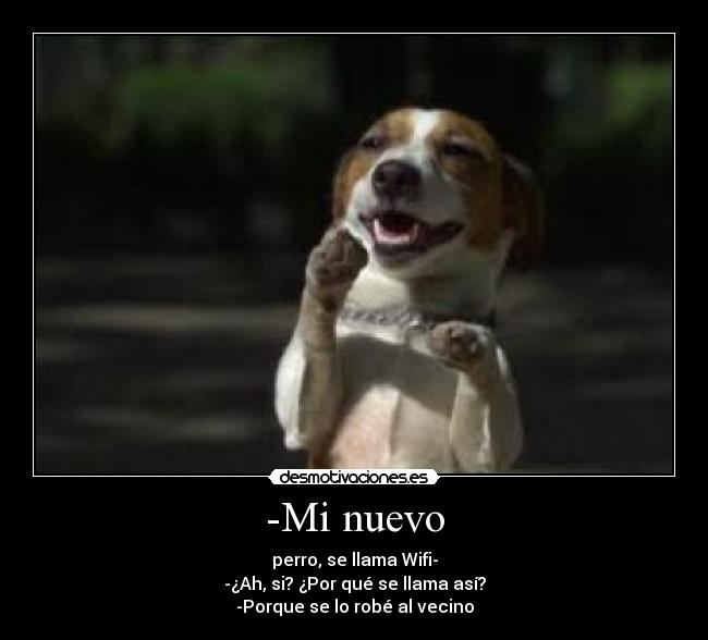 -Mi nuevo - perro, se llama Wifi-
-¿Ah, si? ¿Por qué se llama así?
-Porque se lo robé al vecino