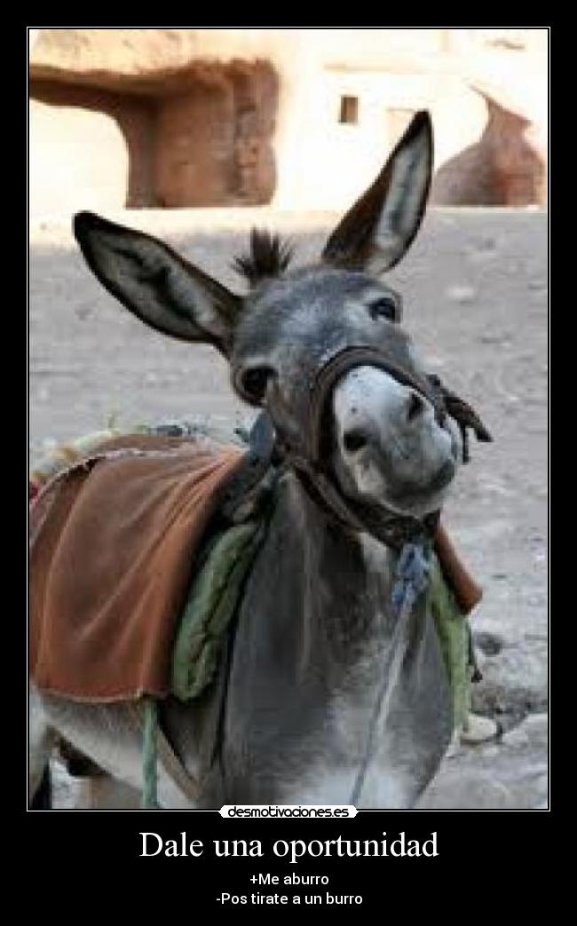 Dale una oportunidad - +Me aburro
-Pos tirate a un burro