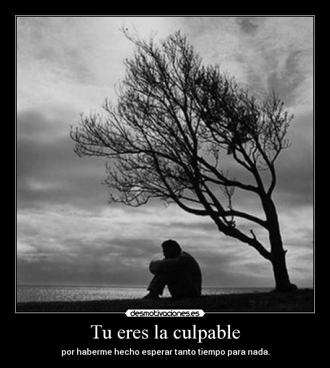 Tu eres la culpable -