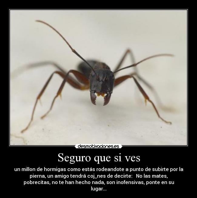 Seguro que si ves - un millon de hormigas como estás rodeandote a punto de subirte por la
pierna, un amigo tendrá coj_nes de decirte: No las mates,
pobrecitas, no te han hecho nada, son inofensivas, ponte en su
lugar...